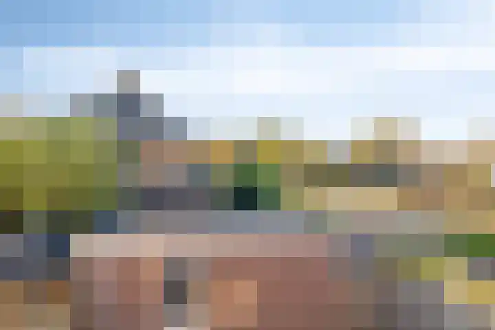 Fluitekruid 2 Kapelle thumbnail 25