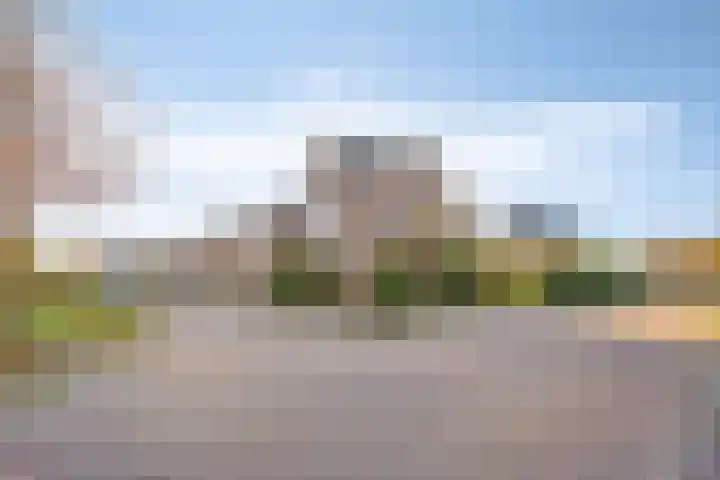 Fluitekruid 2 Kapelle thumbnail 26