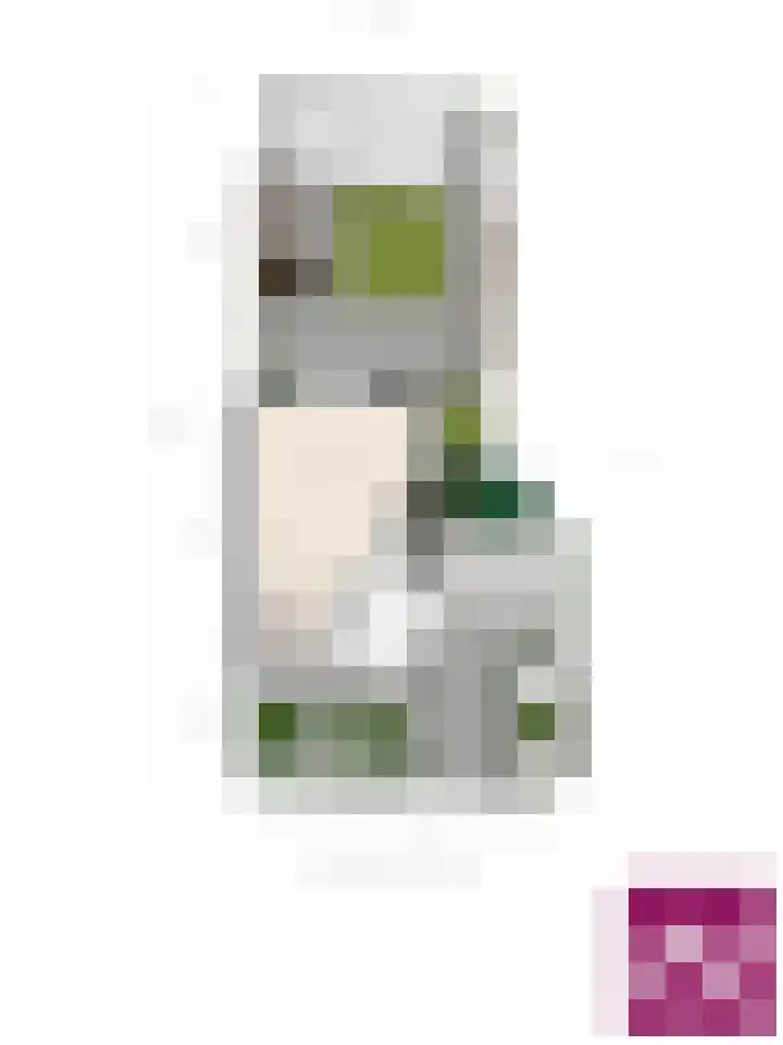 Fluitekruid 2 Kapelle thumbnail 28