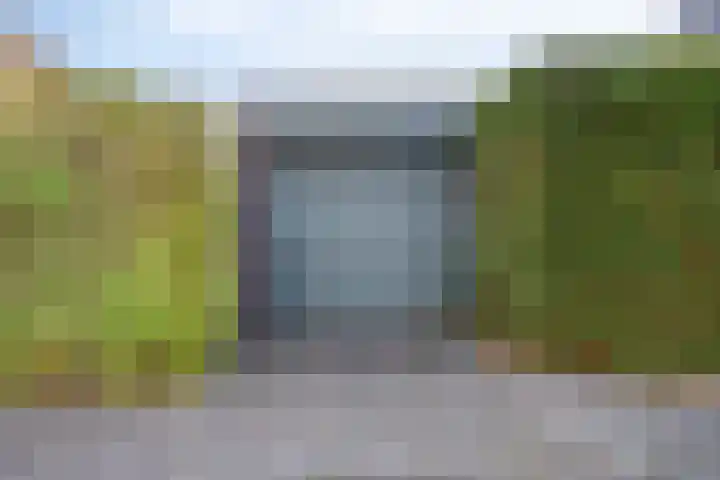 Fluitekruid 2 Kapelle thumbnail 4