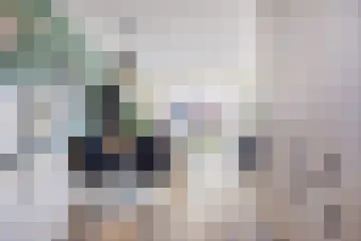 Fluitekruid 2 Kapelle thumbnail 5