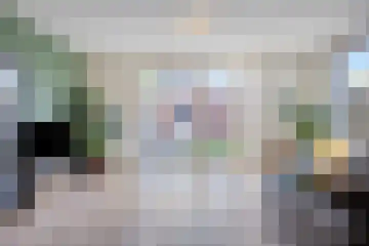 Fluitekruid 2 Kapelle thumbnail 6