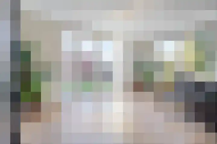 Fluitekruid 2 Kapelle thumbnail 7