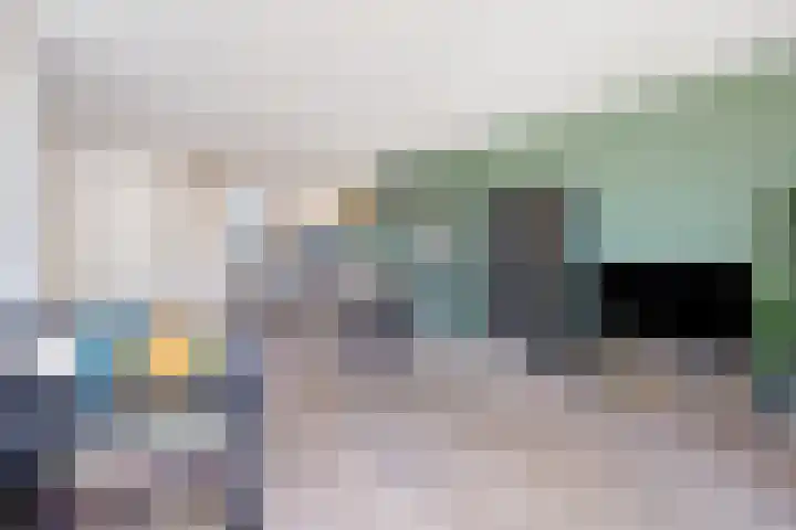 Fluitekruid 2 Kapelle thumbnail 9
