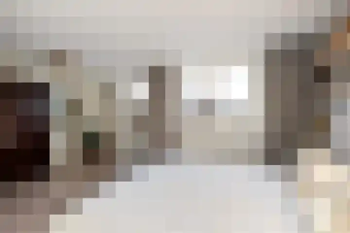 Fluitekruid 20 Nieuwerkerk aan den IJssel thumbnail 14