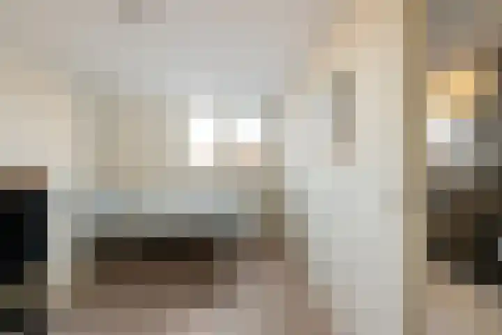 Fluitekruid 20 Nieuwerkerk aan den IJssel thumbnail 15