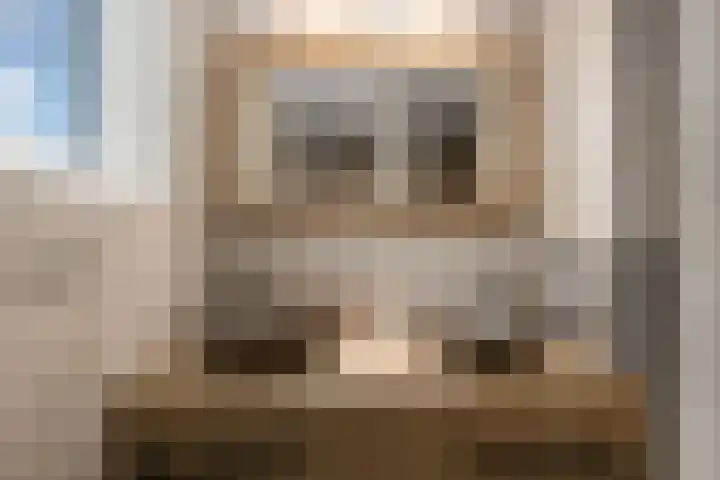Fluitekruid 20 Nieuwerkerk aan den IJssel thumbnail 17
