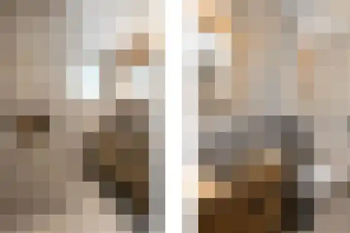 Fluitekruid 20 Nieuwerkerk aan den IJssel thumbnail 18