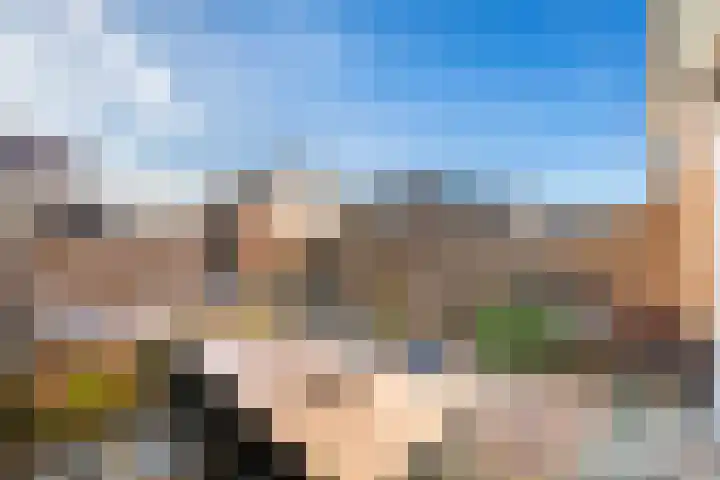 Fluitekruid 20 Nieuwerkerk aan den IJssel thumbnail 22