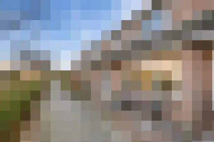 Fluitekruid 20 Nieuwerkerk aan den IJssel thumbnail 26