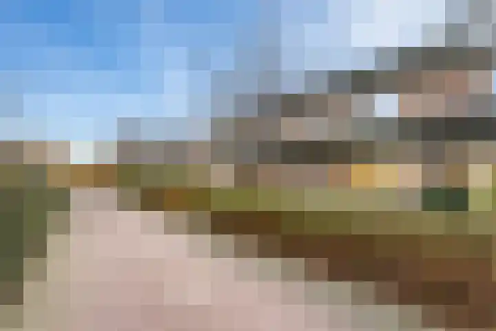 Fluitekruid 20 Nieuwerkerk aan den IJssel thumbnail 27