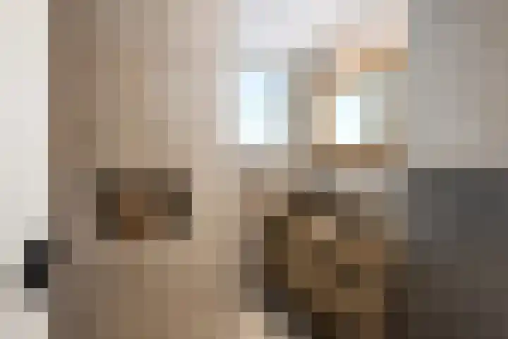 Fluitekruid 20 Nieuwerkerk aan den IJssel thumbnail 4