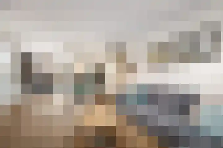 Fluitekruid 20 Nieuwerkerk aan den IJssel thumbnail 5