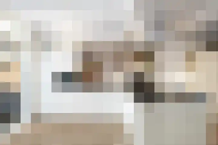 Fluitekruid 20 Nieuwerkerk aan den IJssel thumbnail 7