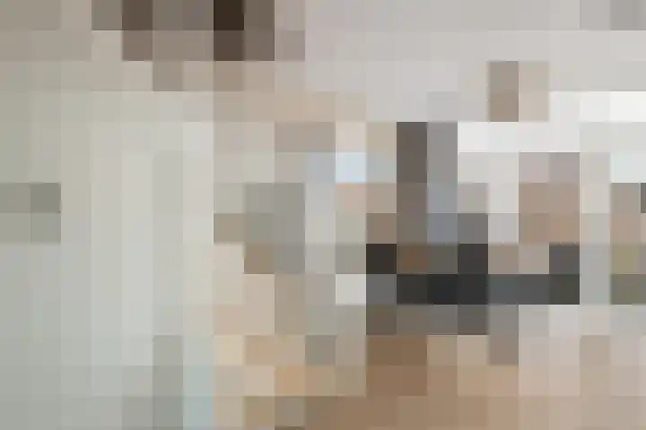 Fluitekruid 20 Nieuwerkerk aan den IJssel thumbnail 9