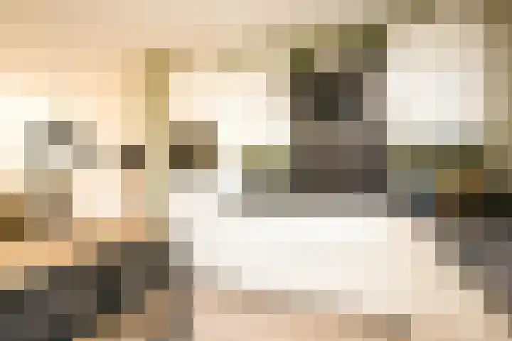 Fluitekruid 25 Odijk thumbnail 10