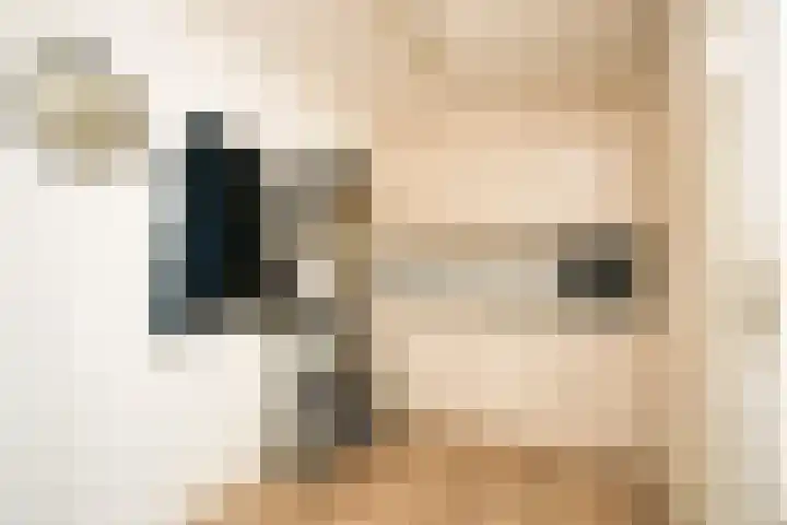 Fluitekruid 25 Odijk thumbnail 12