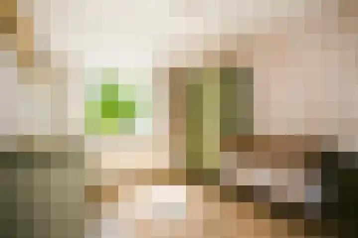 Fluitekruid 25 Odijk thumbnail 18