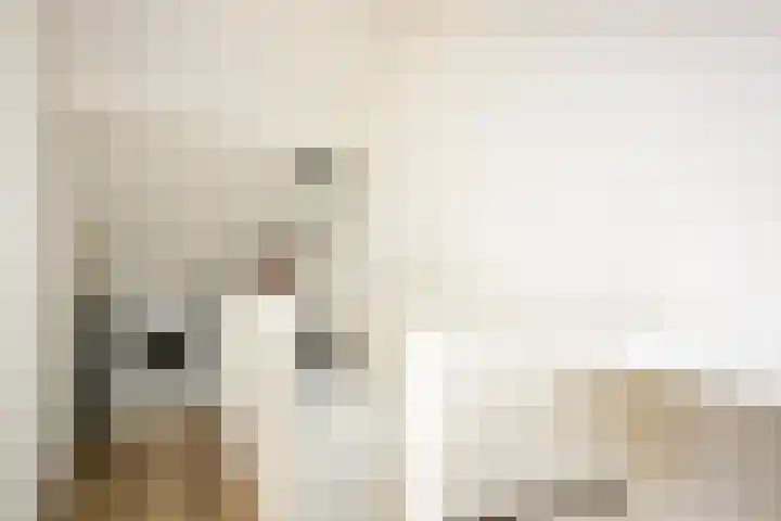 Fluitekruid 25 Odijk thumbnail 23