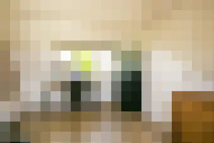Fluitekruid 25 Odijk thumbnail 24