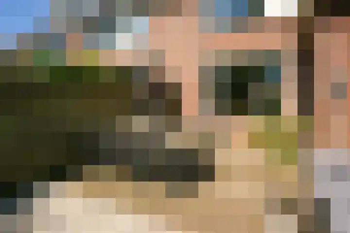 Fluitekruid 25 Odijk thumbnail 26