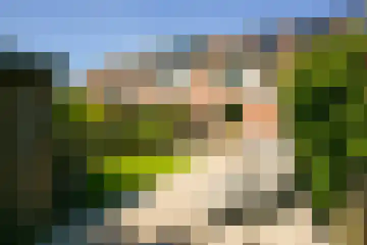 Fluitekruid 25 Odijk thumbnail 28