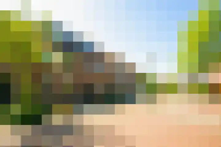 Fluitekruid 25 Odijk thumbnail 30