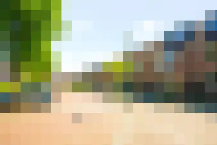 Fluitekruid 25 Odijk thumbnail 31