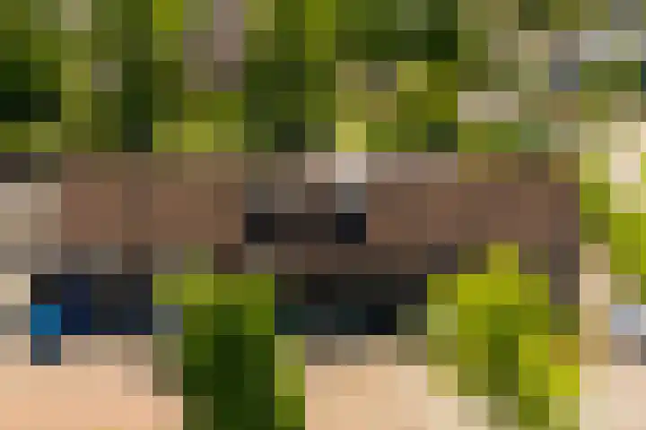 Fluitekruid 25 Odijk thumbnail 32