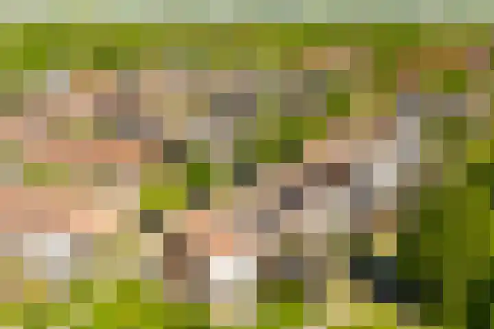 Fluitekruid 25 Odijk thumbnail 35