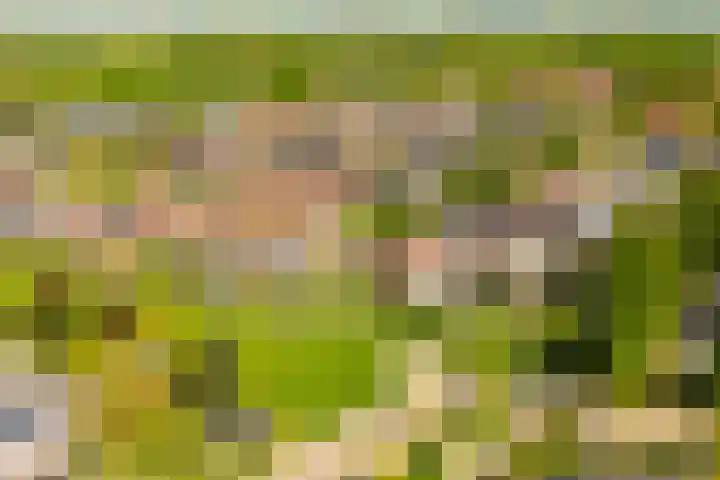 Fluitekruid 25 Odijk thumbnail 36
