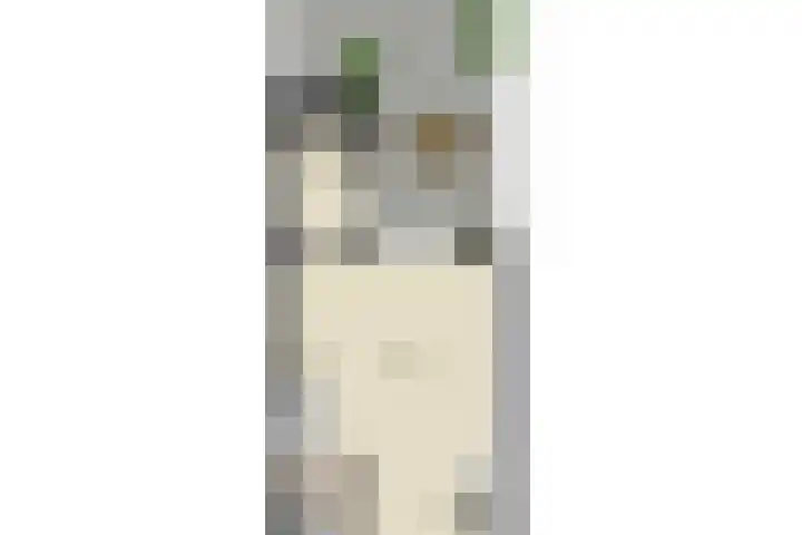 Fluitekruid 25 Odijk thumbnail 39
