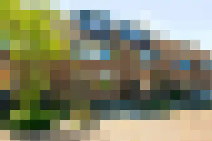 Fluitekruid 25 Odijk thumbnail 4