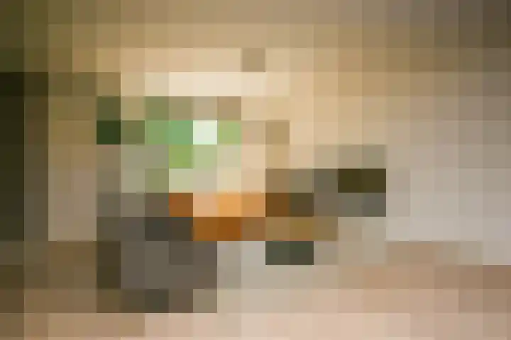 Fluitekruid 25 Odijk thumbnail 5
