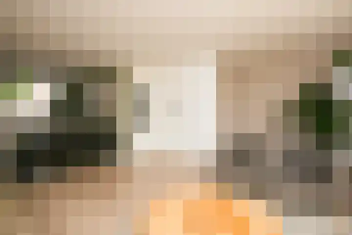 Fluitekruid 25 Odijk thumbnail 7
