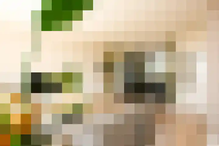 Fluitekruid 25 Odijk thumbnail 8