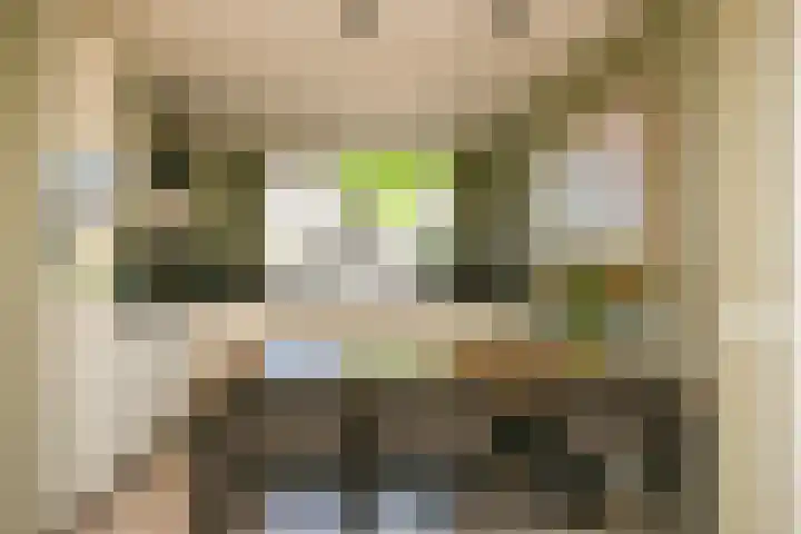 Fluitekruid 25 Odijk thumbnail 9