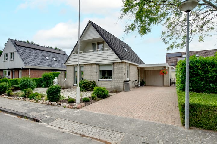 Fluitekruid 27 in Bedum Foto