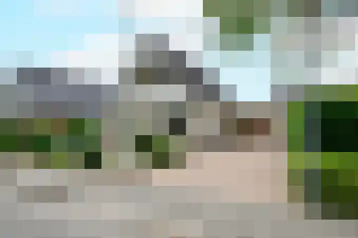 Fluitekruid 27 Bedum
