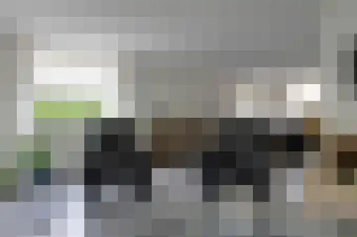 Fluitekruid 27 Bedum thumbnail 10
