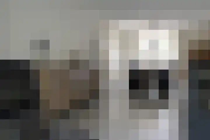 Fluitekruid 27 Bedum thumbnail 11