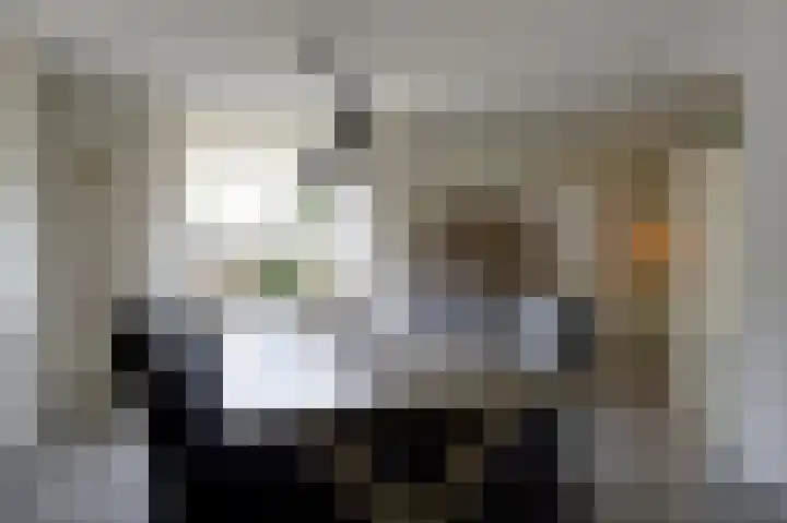 Fluitekruid 27 Bedum thumbnail 13