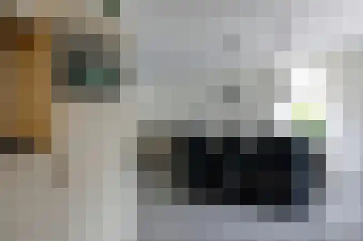 Fluitekruid 27 Bedum thumbnail 14