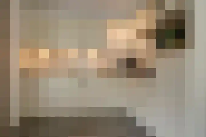 Fluitekruid 27 Bedum thumbnail 15