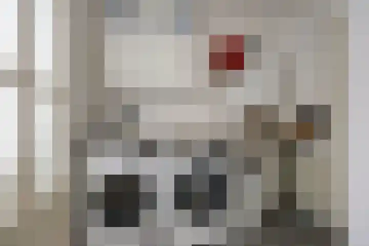 Fluitekruid 27 Bedum thumbnail 16