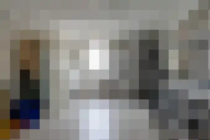 Fluitekruid 27 Bedum thumbnail 18
