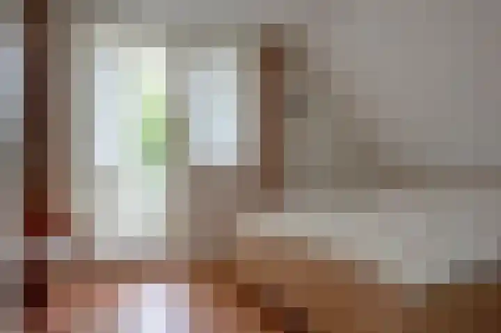 Fluitekruid 27 Bedum thumbnail 20