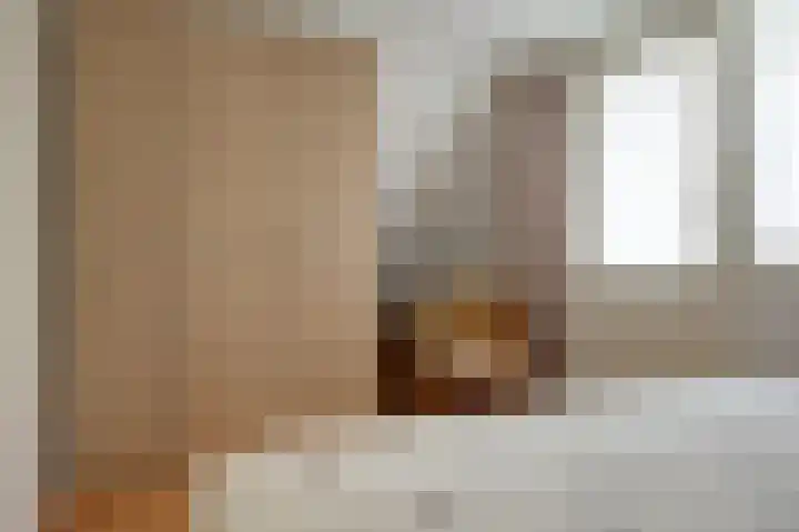Fluitekruid 27 Bedum thumbnail 21