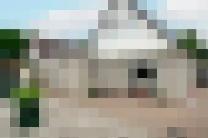 Fluitekruid 27 Bedum thumbnail 28