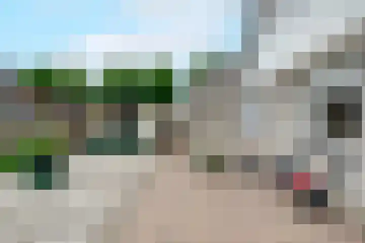 Fluitekruid 27 Bedum thumbnail 29